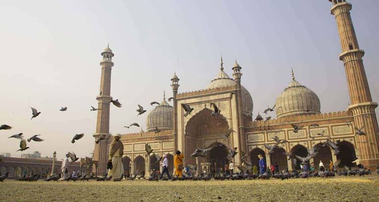 2 Nuits 3 Jours Delhi Agra Jaipur - Triangle d'Or - India Taj Tour 1