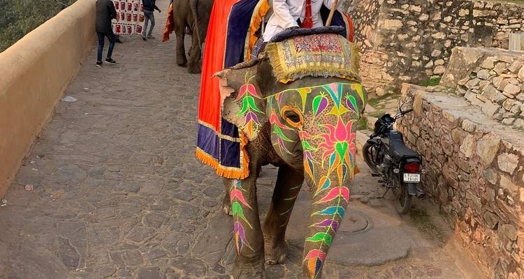 Private Golden Triangle Tour 5 Days Package (Delhi-Agra-Jaipur) - India Taj Tour 10
