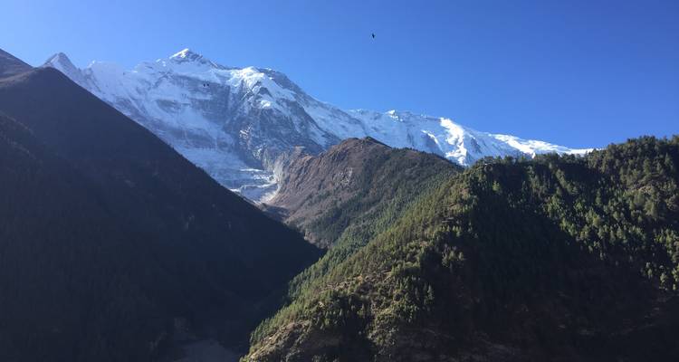 Excursión por el Valle de Nar Phu-21 días por el Paso de Thorong-La - White Hill Adventure Treks and Expedition Pvt Ltd 2