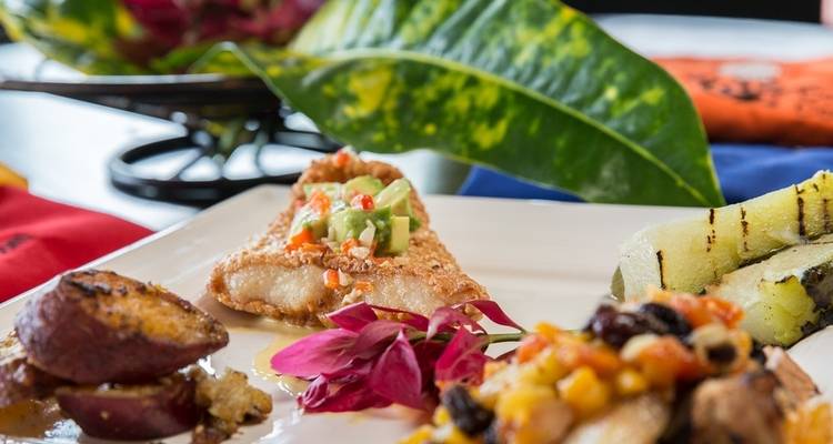 Jungle et expérience culinaire - Destination Services Costa Rica 3