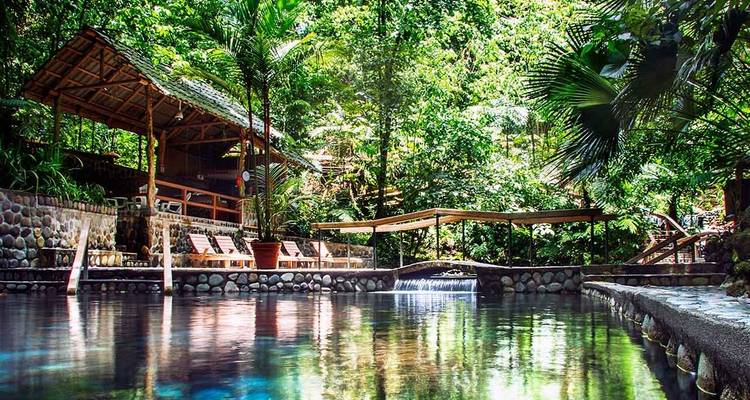 Jungle et expérience culinaire - Destination Services Costa Rica 2
