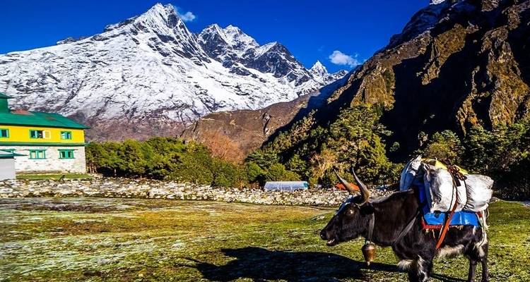 Campamento base del Kanchenjunga - 19 días - White Hill Adventure Treks and Expedition Pvt Ltd 4