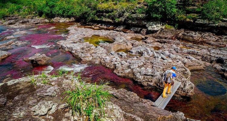 3-Day Caño Cristales (Rainbow River) from Bogotá - FlashpackerConnect 10