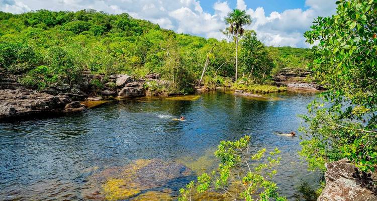 3 jours de Caño Cristales - Rainbow River depuis Bogota - FlashpackerConnect 10