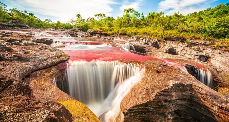 3-Day Caño Cristales (Rainbow River) from Bogotá - FlashpackerConnect 2