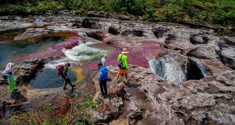 3-Day Caño Cristales (Rainbow River) from Bogotá - FlashpackerConnect 7