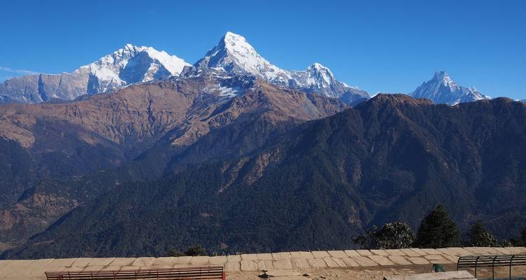 Mardi Himal Trek - 9 Days - Glorious Himalaya Trekking Pvt. Ltd. 7