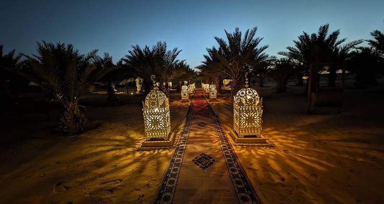 Las linternas proyectan luz con patrones a lo largo de un sendero alfombrado entre palmeras en un campamento del desierto al anochecer.