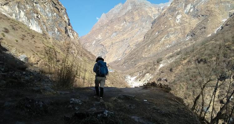Excursionismo en privado al campamento base del Annapurna - 7 días - White Hill Adventure Treks and Expedition Pvt Ltd 4