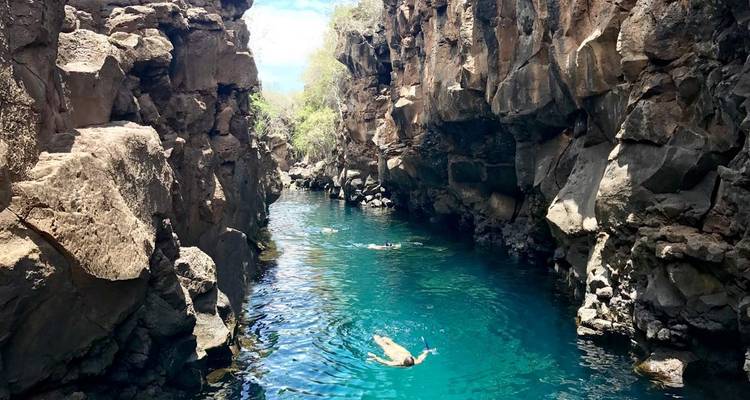 Galápagos Explorer - Guayaquil et; Santa Cruz - 7 jours - BM Tours 7