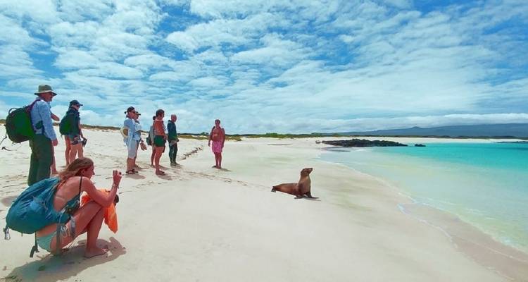 Galápagos Explorer - Guayaquil et; Santa Cruz - 7 jours - BM Tours 3