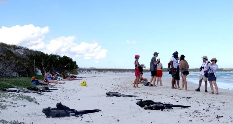 Galápagos Explorer - Guayaquil et; Santa Cruz - 7 jours - BM Tours 2