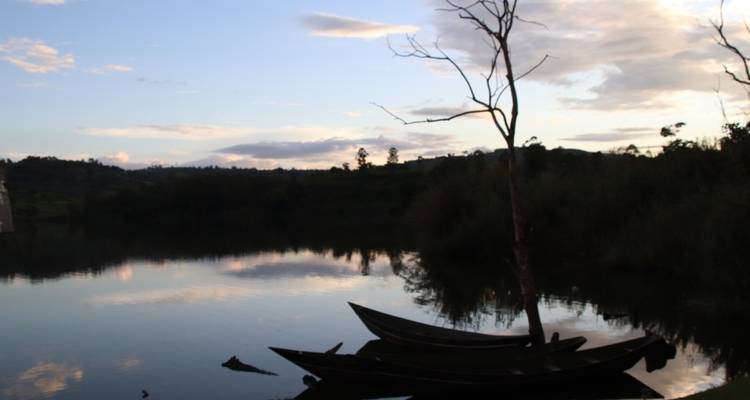 Excursión de 4 días a gorilas, vida salvaje y chimpancés en la selva de Kalinzu - Bamboo Ecotours 9