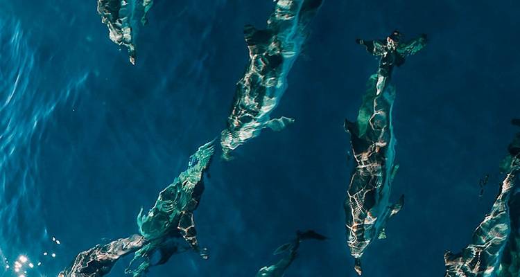 Circuit privé : Aventure en voilier en pleine mer au départ de Dubrovnik - LuxMediterranean Experience 3