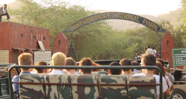 Golden Triangle Tour With Ranthambore Tiger Safari - Prime India Tour 3
