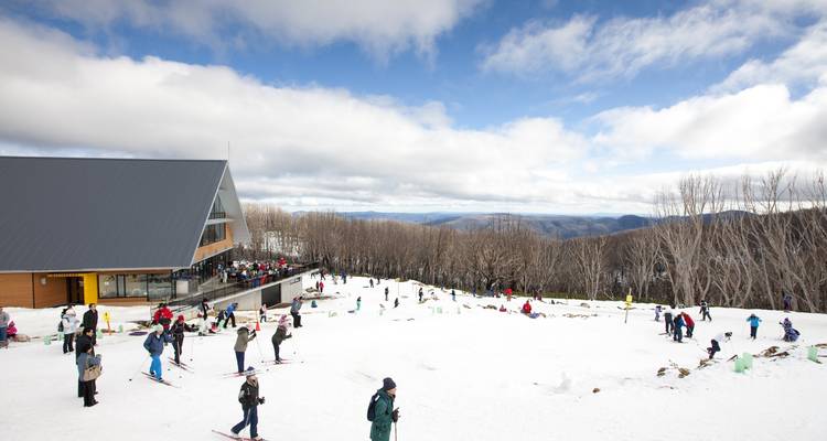 Lake Mountain Snow Tour - 1 DAY - Wildlife Tours Australia 2