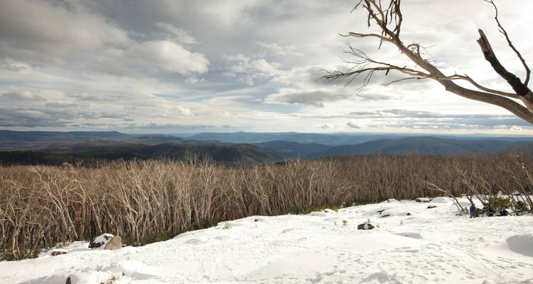 Lake Mountain Snow Tour - 1 DAY - Wildlife Tours Australia 8