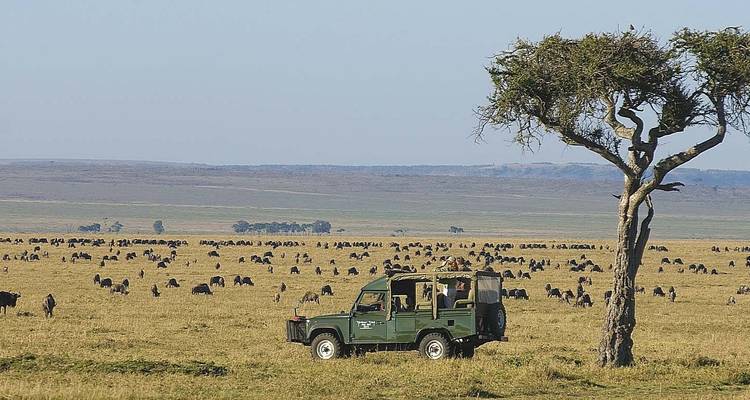 6 jours 5 nuits safari moyen de gamme - Viola tours & travel 4