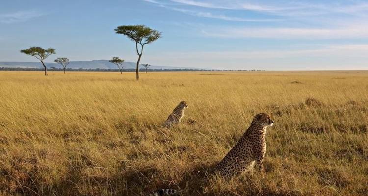 6 jours 5 nuits safari moyen de gamme - Viola tours & travel 7