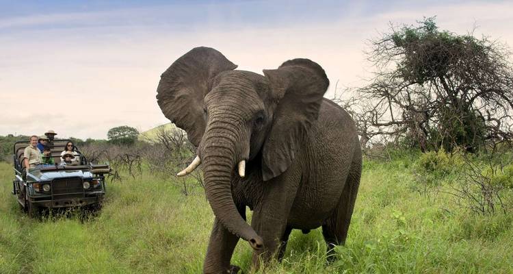 6 jours 5 nuits safari moyen de gamme - Viola tours & travel 6