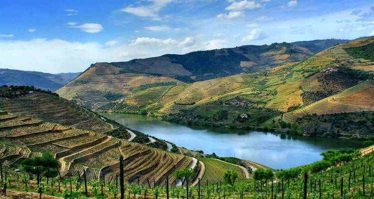Lo mejor de Oporto y el tren presidencial por las maravillas del valle del Duero - Portugal Travel Center 2