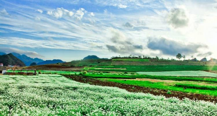 Sapa et le Nord- Ouest - 10 jours - Crossing Vietnam Tour 3