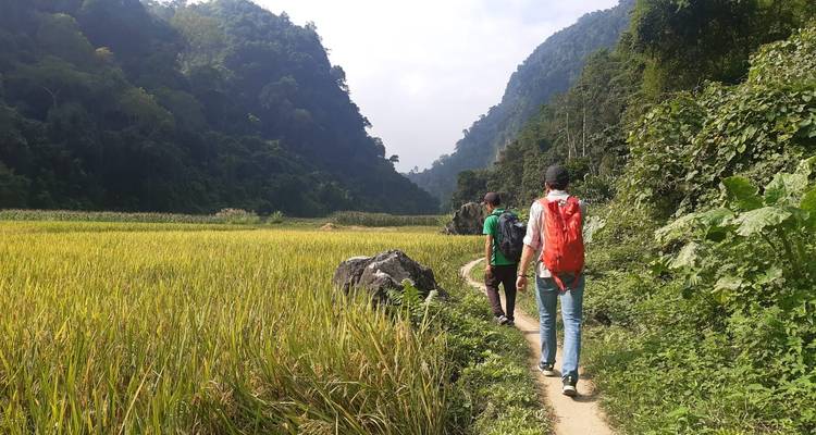 6 Días fuera de los caminos trillados hacia el noroeste de Vietnam: Senderismo Lago Ba Be - Cascada Ban Gioc - Old Quarter Travel 3