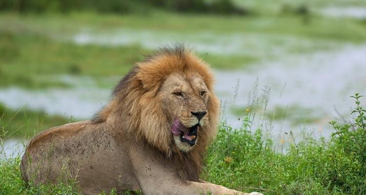 7 jours et 6 nuits Safari moyen de gamme - Viola tours & travel 3