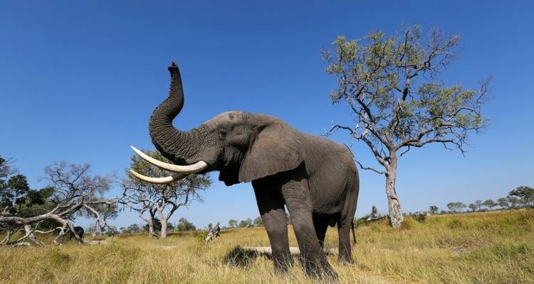 7 jours et 6 nuits Safari moyen de gamme - Viola tours & travel 2