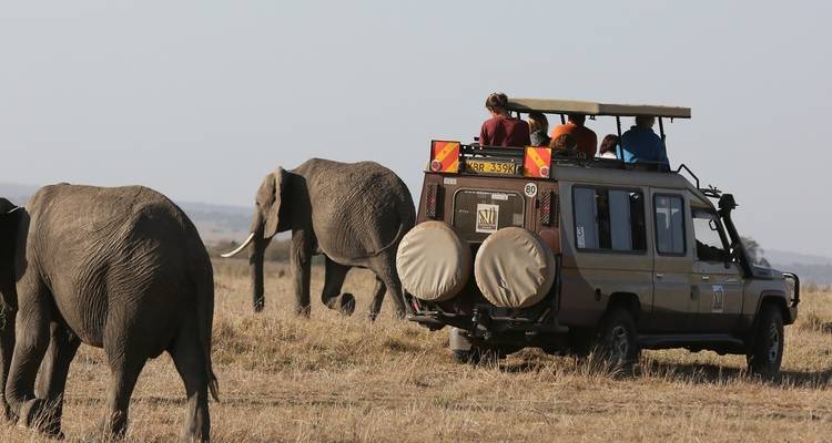 7 jours et 6 nuits Safari moyen de gamme - Viola tours & travel 1