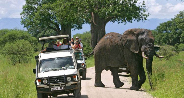 Safari voertuigen en toeristen die een olifant observeren op een onverharde weg.