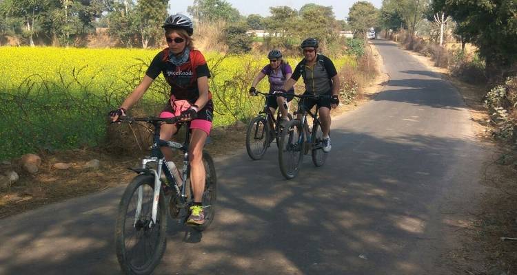 Ciclismo en Rajastán con Taj y el tigre - Cycling in India 1