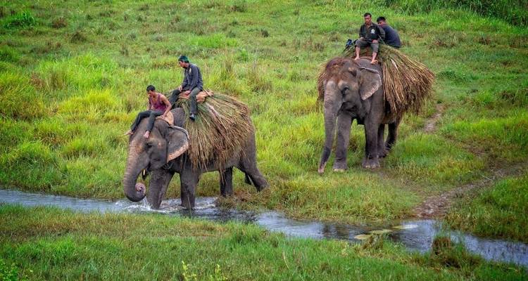 Parc national de Chitwan - 3 jours - Eco Holidays Nepal 10