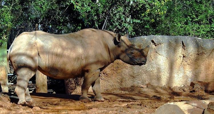 Parc national de Chitwan - 3 jours - Eco Holidays Nepal 6