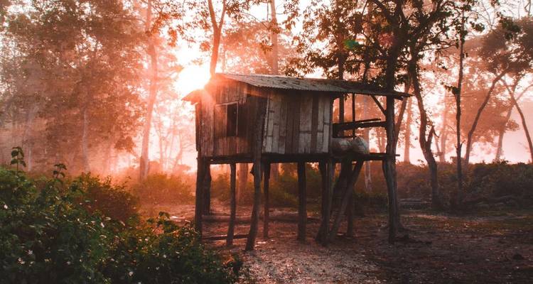 Parc national de Chitwan - 3 jours - Eco Holidays Nepal 8
