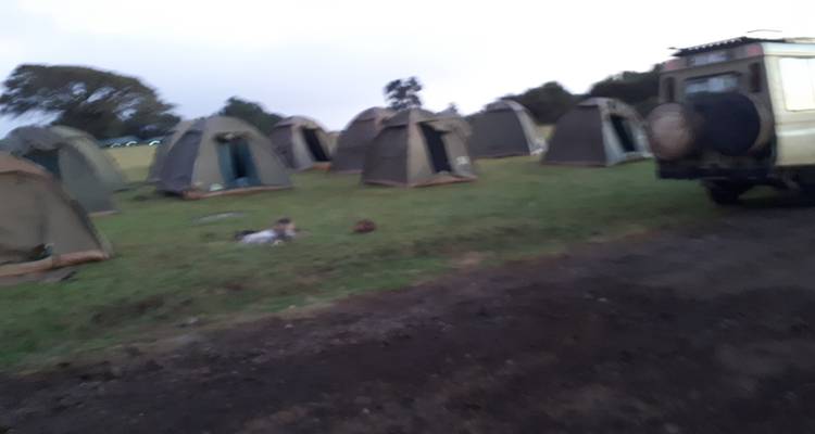 Excursión de 3 días a los mejores parques de África - Serengeti y cráter del Ngorongoro - Safari Soles tours 10