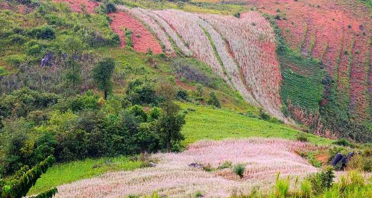 Vietnam : Boucle nord- ouest du Vietnam 10 jours/9 nuits - Crossing Vietnam Tour 1