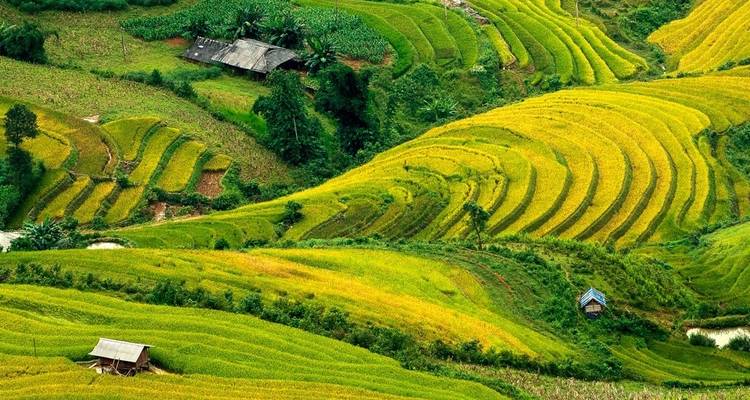 Vietnam : Boucle nord- ouest du Vietnam 10 jours/9 nuits - Crossing Vietnam Tour 3