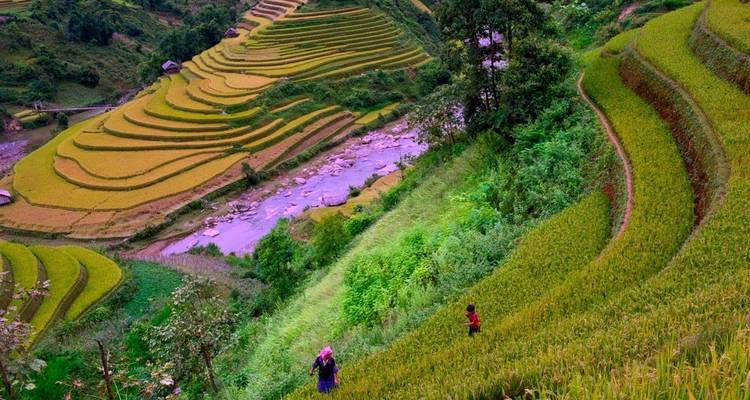 Vietnam : Boucle nord- ouest du Vietnam 10 jours/9 nuits - Crossing Vietnam Tour 2