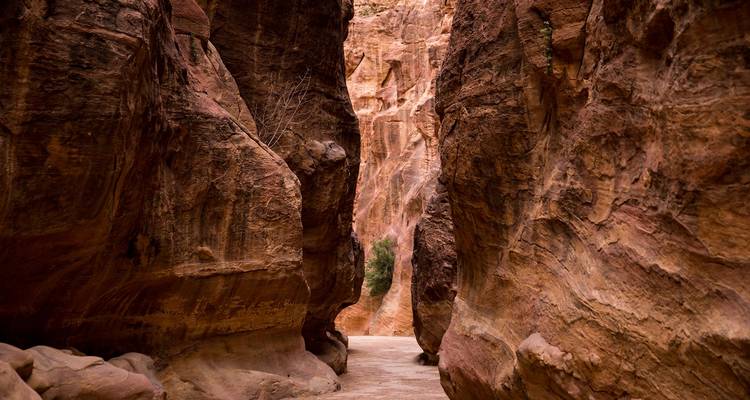 12-Day Relaxing Holiday in Egypt & Jordan - Odynovo 7