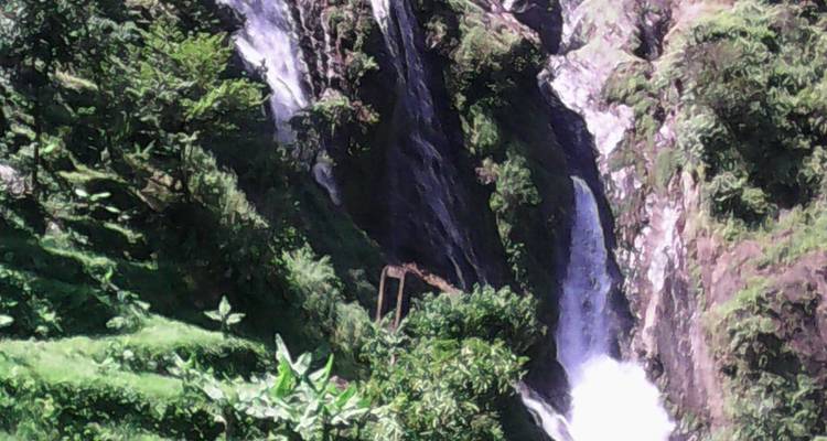 Waterfalls surrounded by lush, dense vegetation.