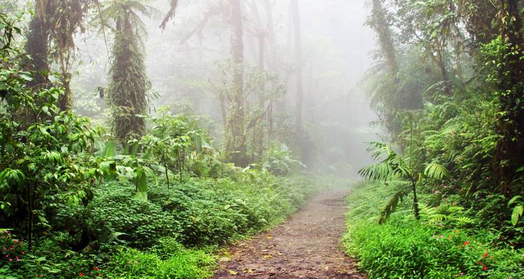 Raft, Hike and Explore Costa Rica - Green World Adventures 9