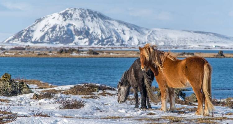 Iceland Winter Adventure - Explore! 4