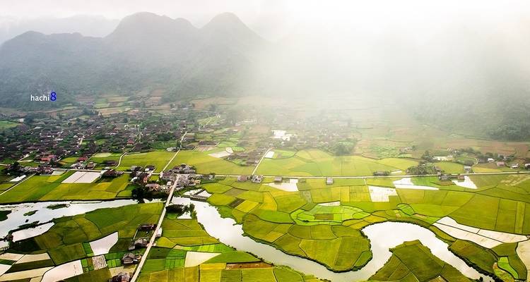 Malerische Luftaufnahme eines Tals mit Reisfeldern und nebligen Bergen.