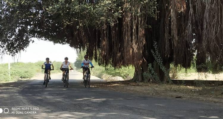 Circuit cycliste court au Rajasthan - Cycling in India 6