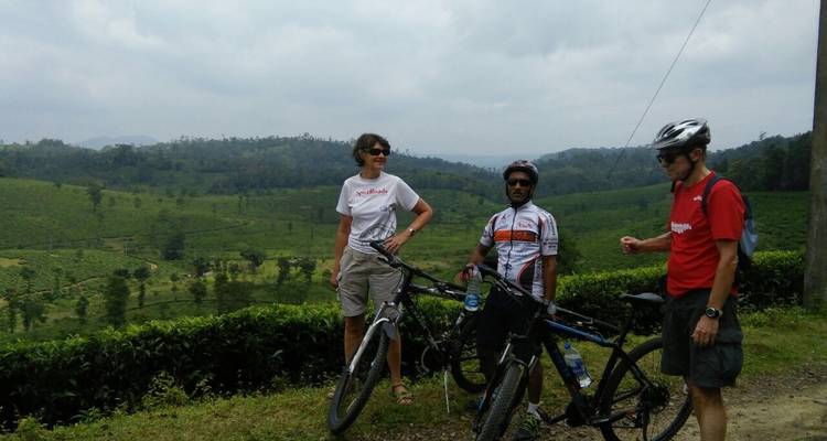 Three cyclists posing in a lush landscape.