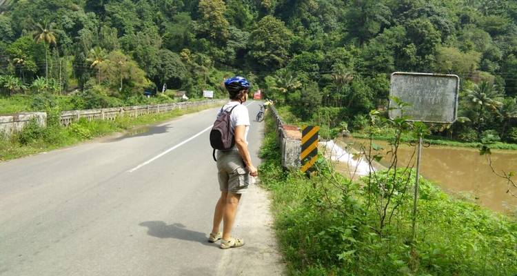 Cyclist standing on a bridge in a forested area.