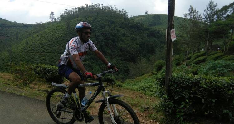 Cyclist on a scenic mountain road.