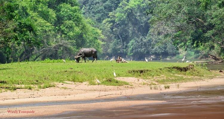 Adventure Ban Gioc Waterfall - Ba Be Lake 4 days 3 nights - Asia Focus Travel 3