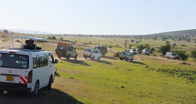 SAFARI DE 3 DÍAS POR LA NATURALEZA EN MASAI MARA - Bencia Africa Adventure and Safaris 4